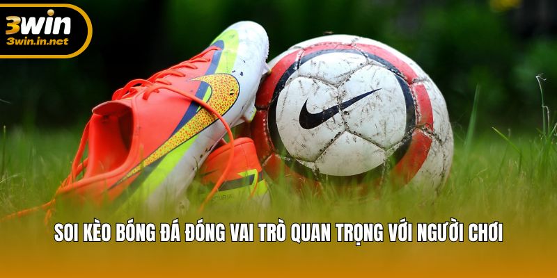 Soi kèo bóng đá đóng vai trò quan trọng với người chơi